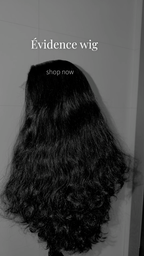 EVIDENCE Wig